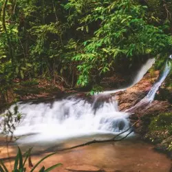 Cachoeira das Flores - Foto 1