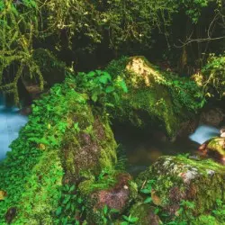 Cachoeira do Daime - Foto 3