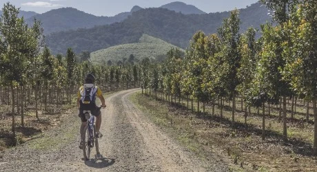 Ciclismo